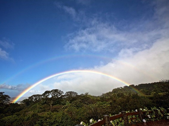 Monteverde