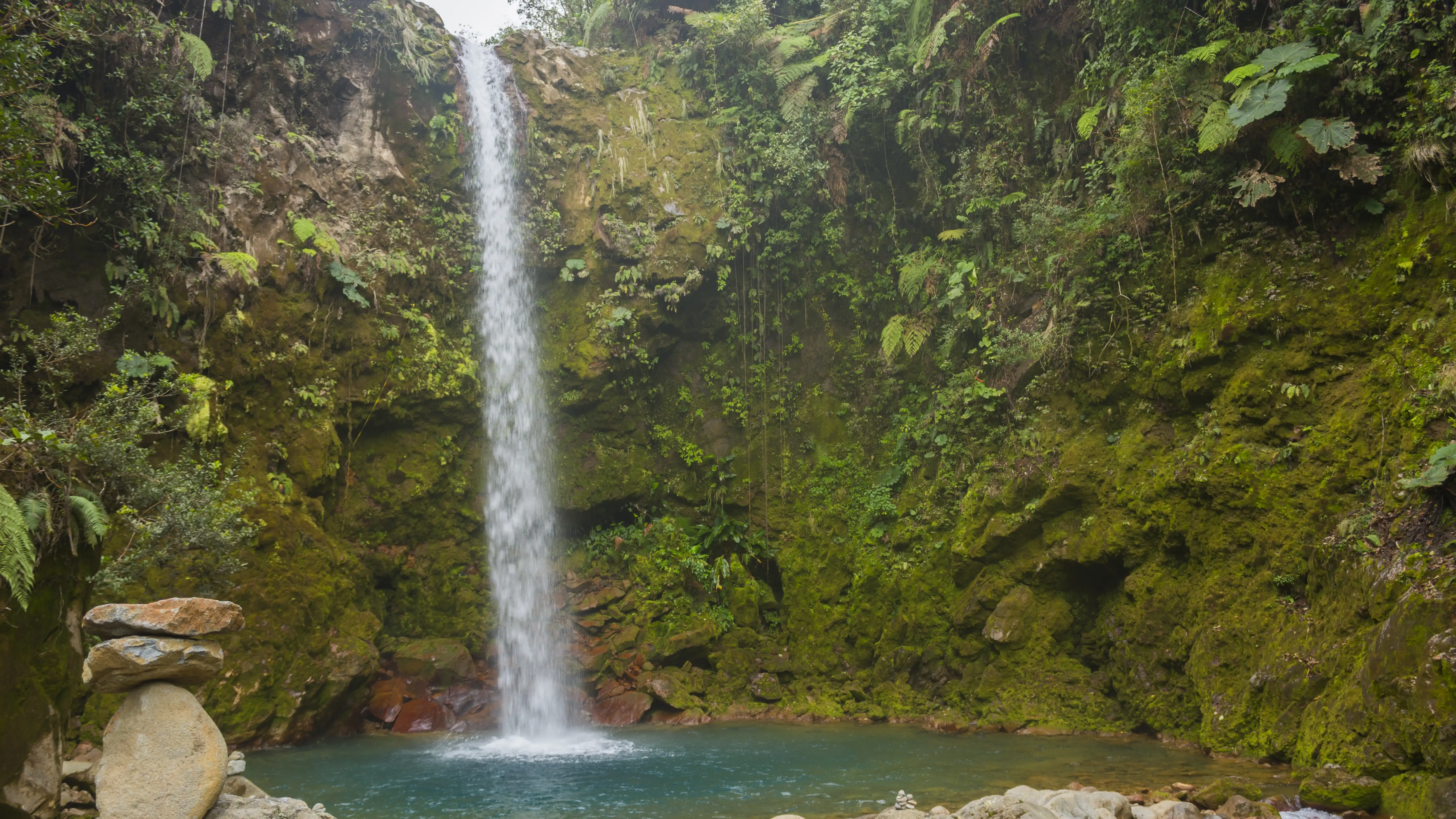 A large waterfall in the middle of a forest.