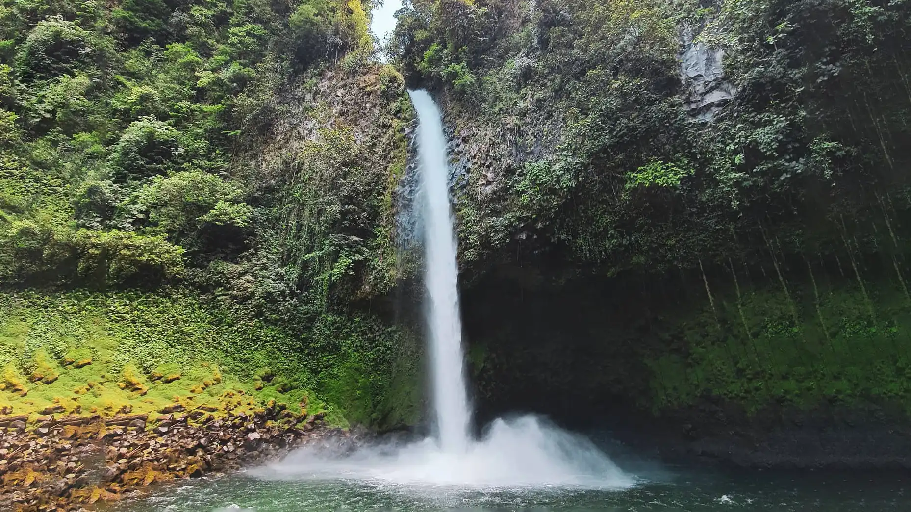 A waterfall in the middle of a lush green forest.