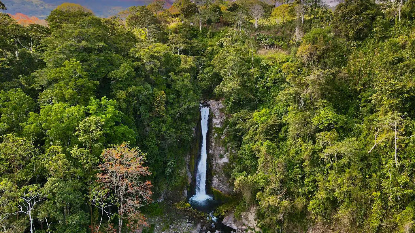 Uma cachoeira no meio de uma floresta.