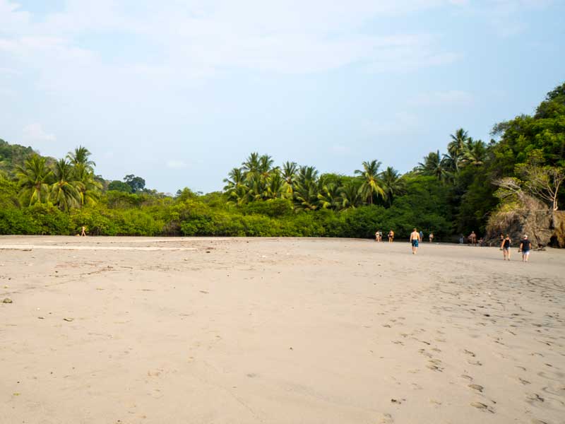 A group of people walking along a sandy beach.