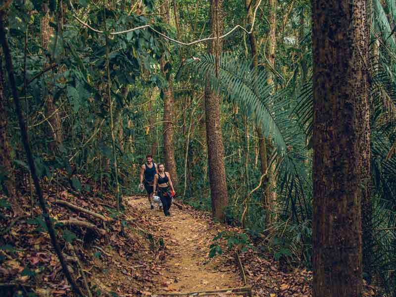 A group of people hiking through a forest.