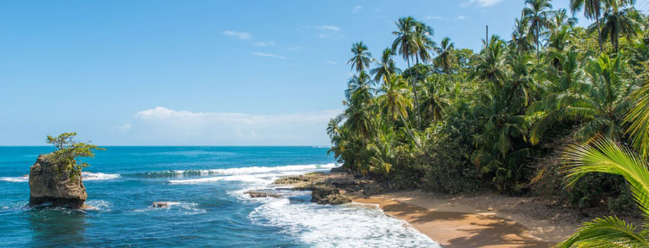 A tropical beach with palm trees and a rock outcropping.