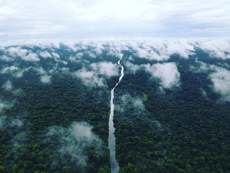aerial view of river through jungle