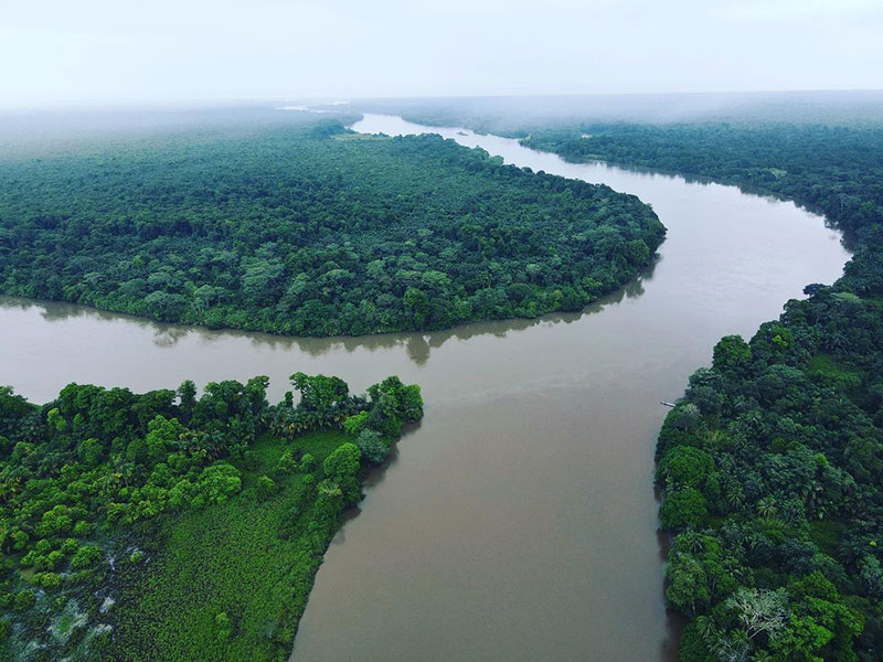 A river running through a lush green forest.