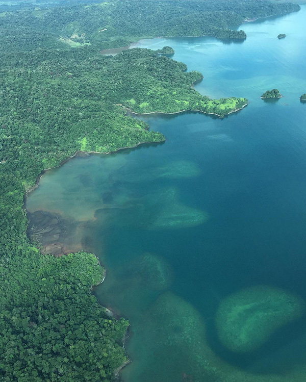 A large body of water surrounded by lush green trees.