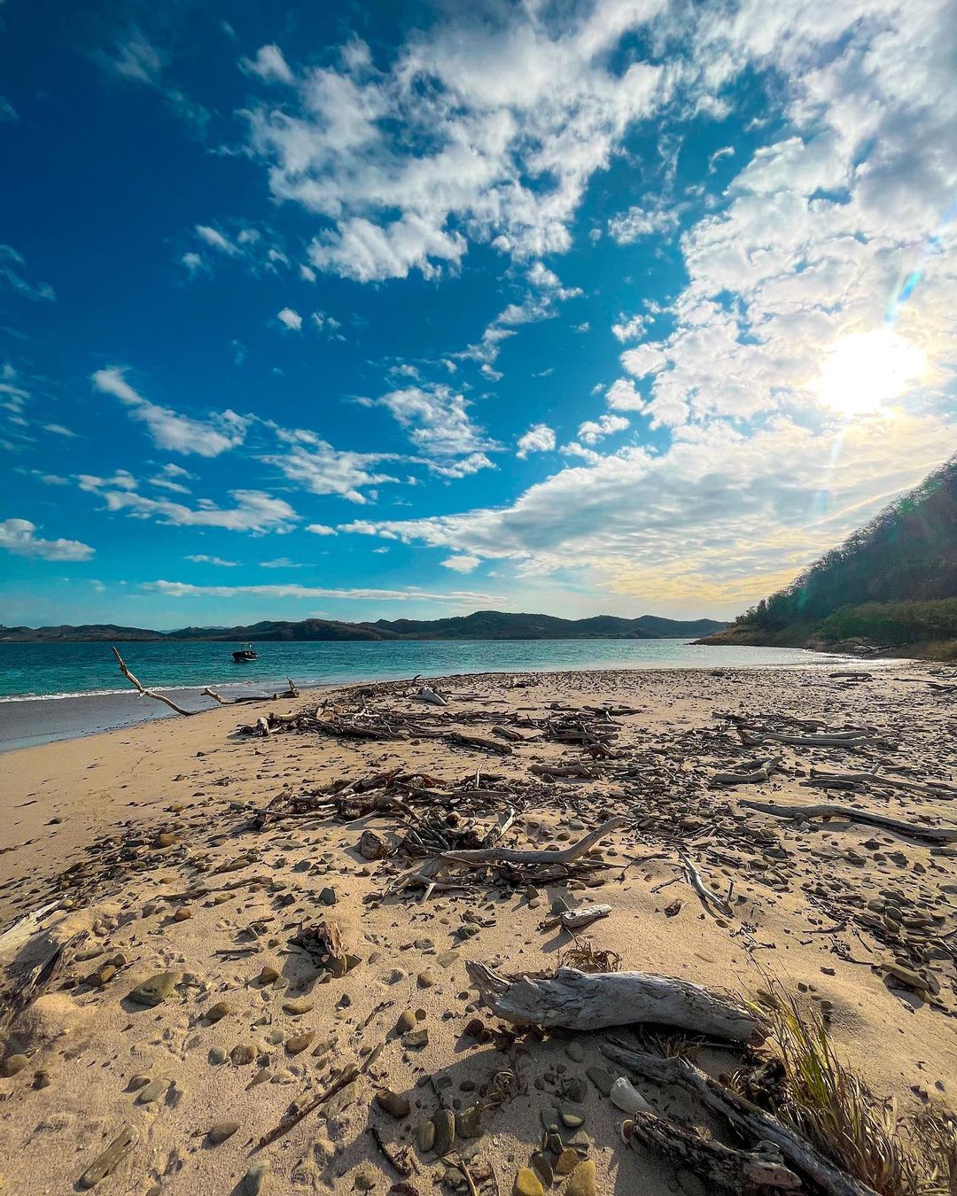 A beach that has a bunch of trees on it.