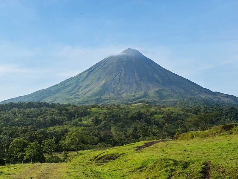 A green field with a mountain in the background.