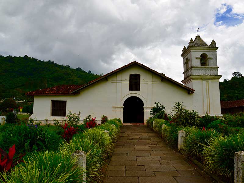 A white church with a steeple surrounded by greenery.