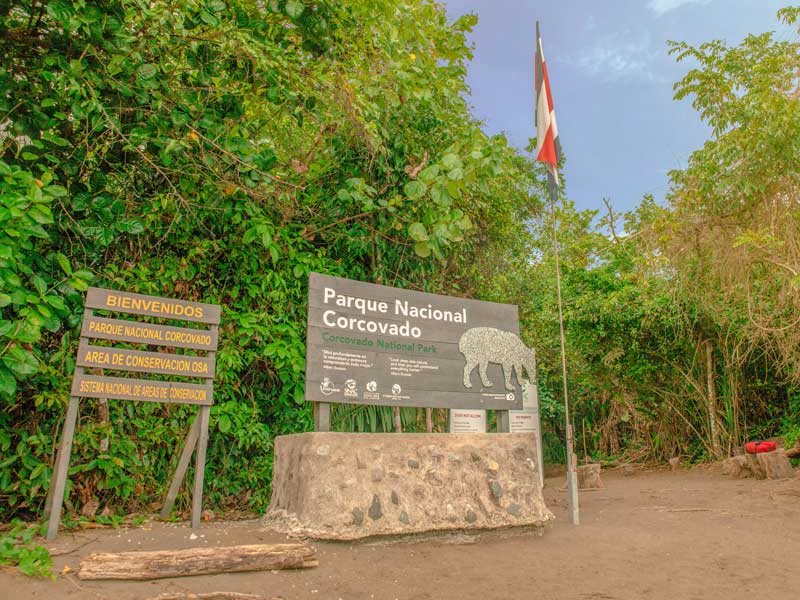 A sign in front of a lush green forest.