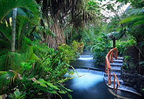 A small waterfall surrounded by lush green trees.