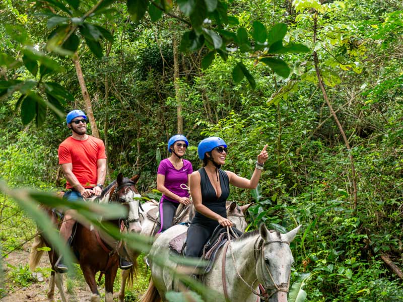A group of people riding on the backs of horses.