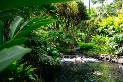 Friends swimming in the Tabacón hot springs in La Fortuna