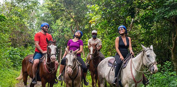 horseback