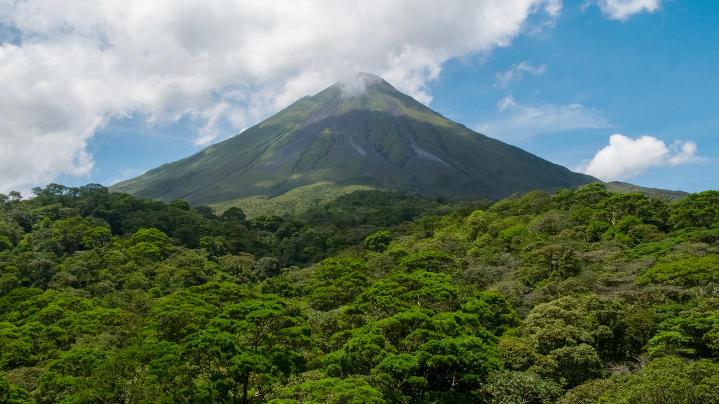 mountain and trees