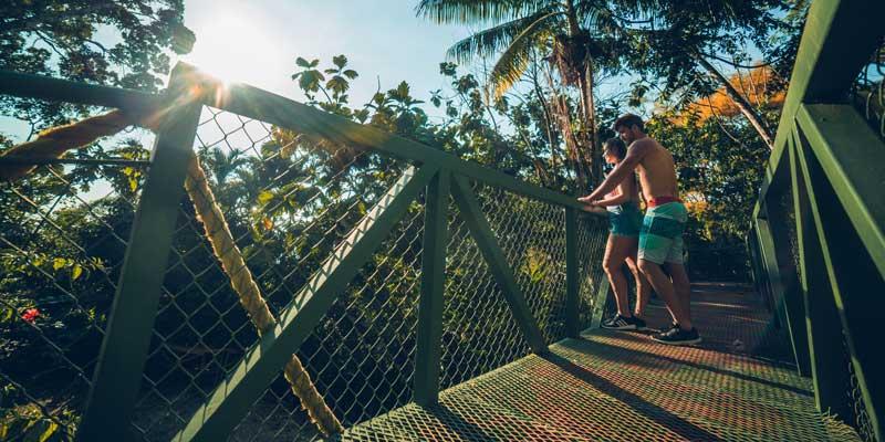 hiking bridge