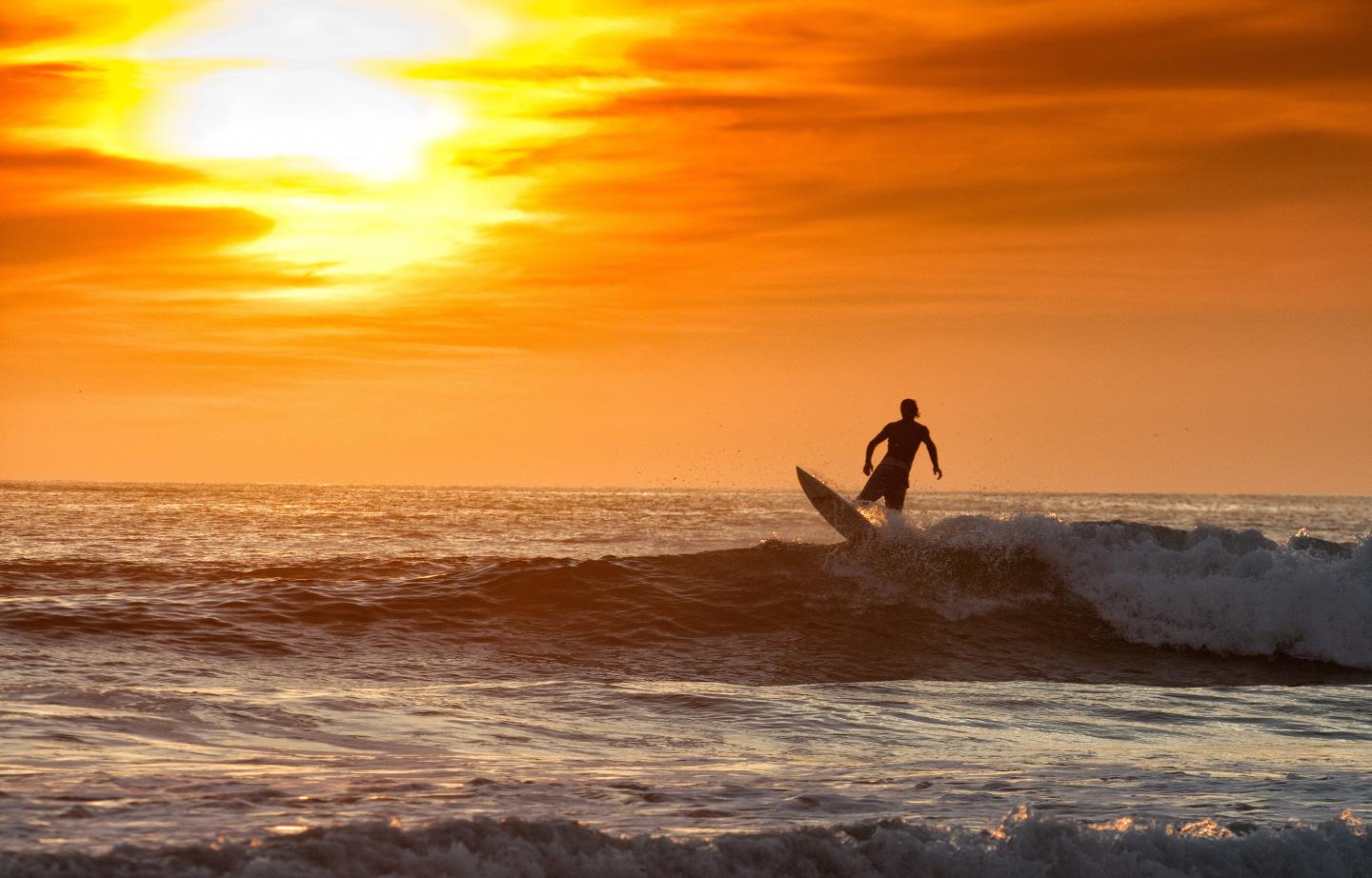 surfing