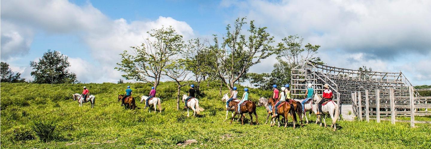 group of people riding horses