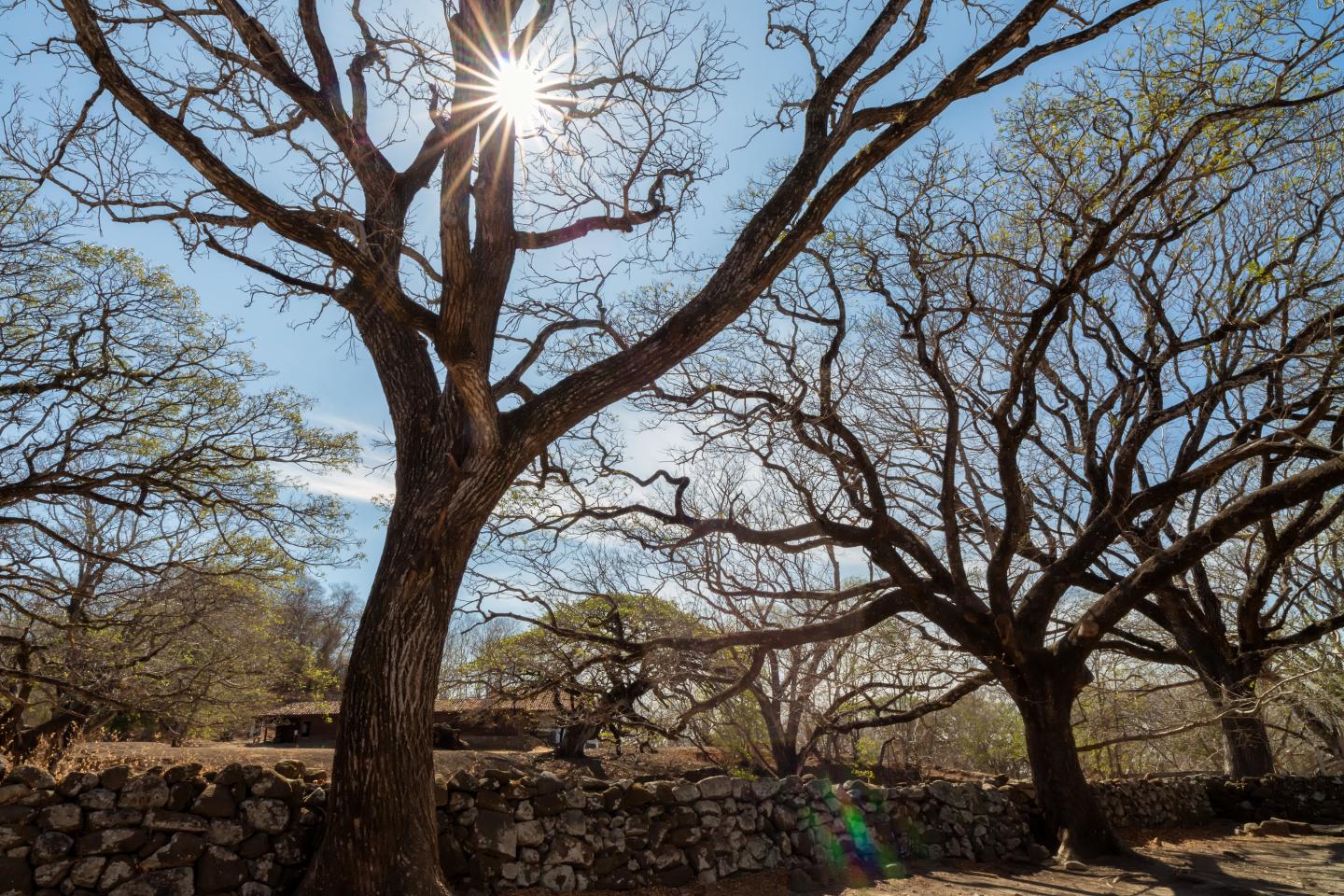 Santa Rosa National Park