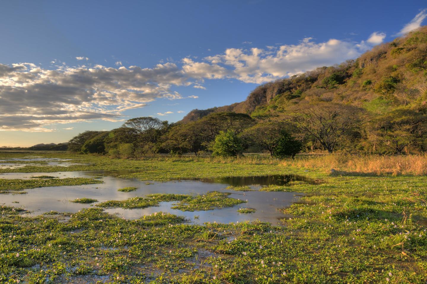 Palo Verde National Park
