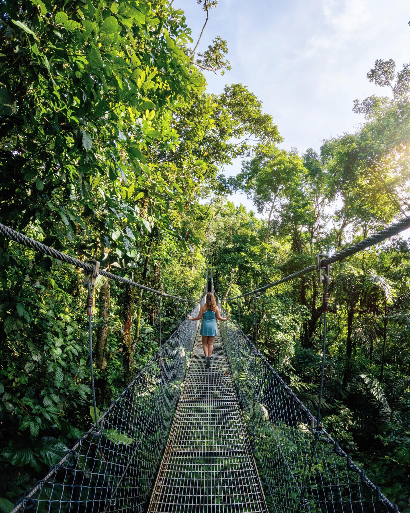 hanging bridge