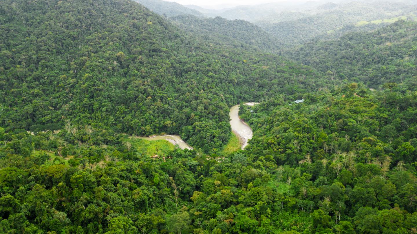 aerial view of pacuare river
