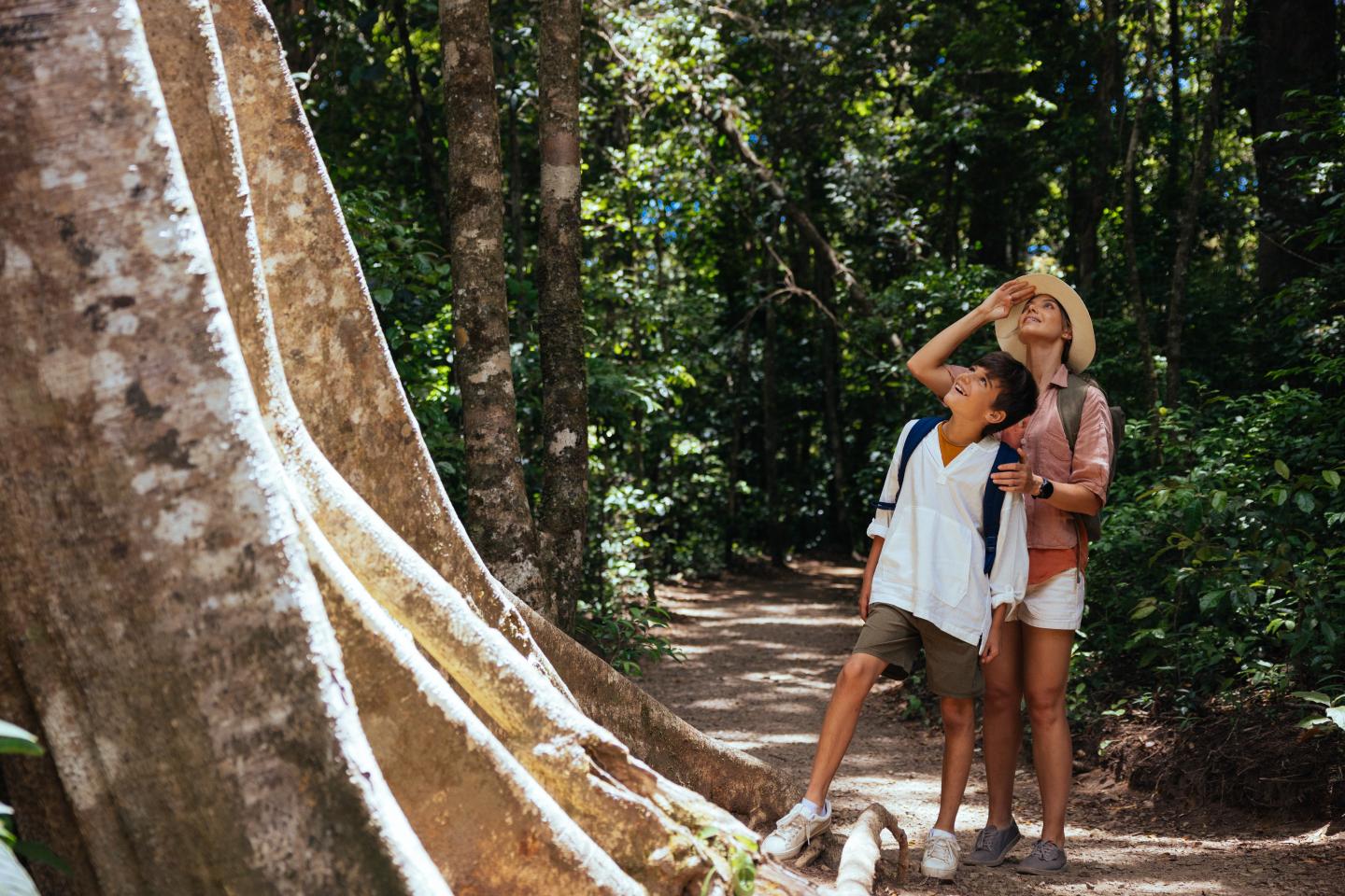 mom and son looking up at a big tree in forest