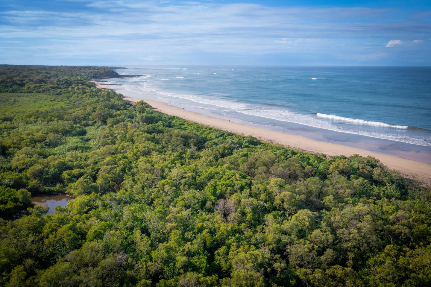 Beautiful beach, sea, horizon and mangrove forest in Guanacaste, Costa Rica, aerial shot