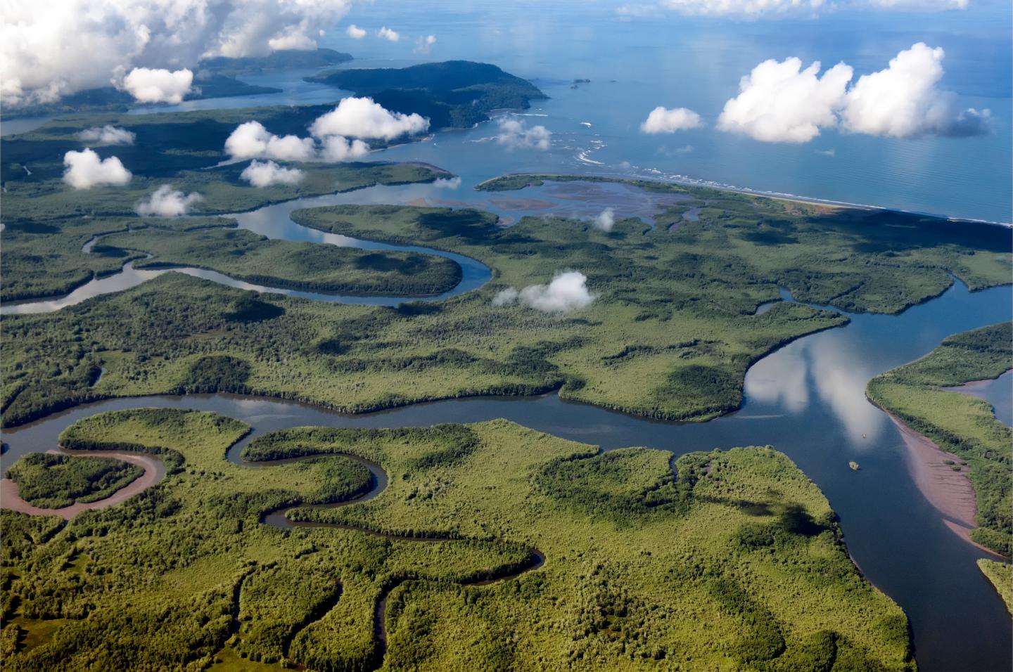 Aerial view of rivers connecting to the ocean