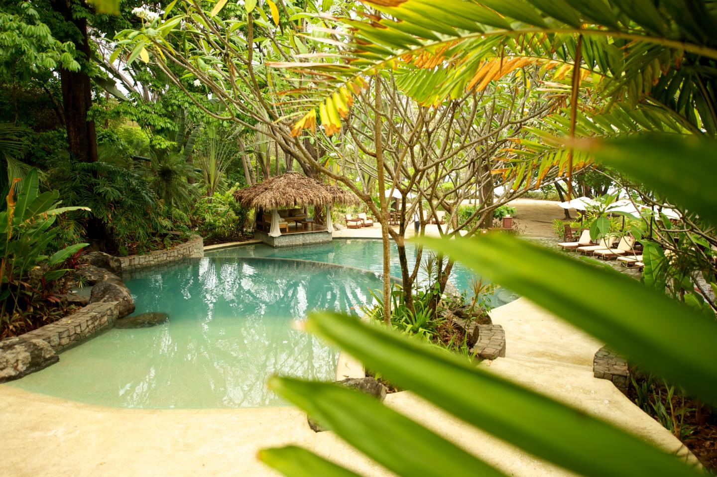 Tropical resort pool surrounded by lush greenery with a thatched-roof swim-up bar and lounge seating near the beach.