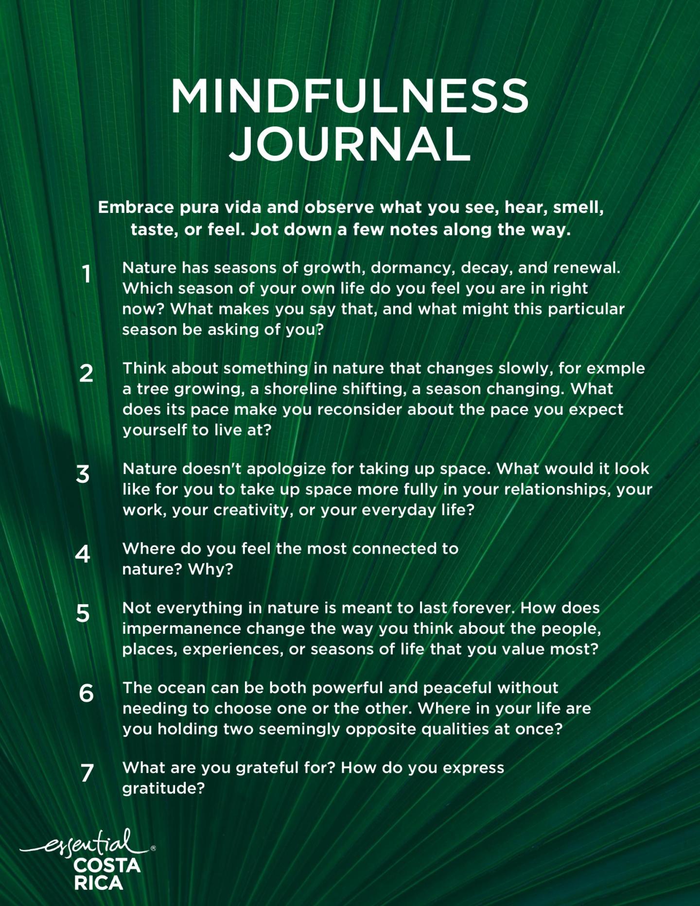 Cover of the Mindfulness Journal wellness prompts sheet