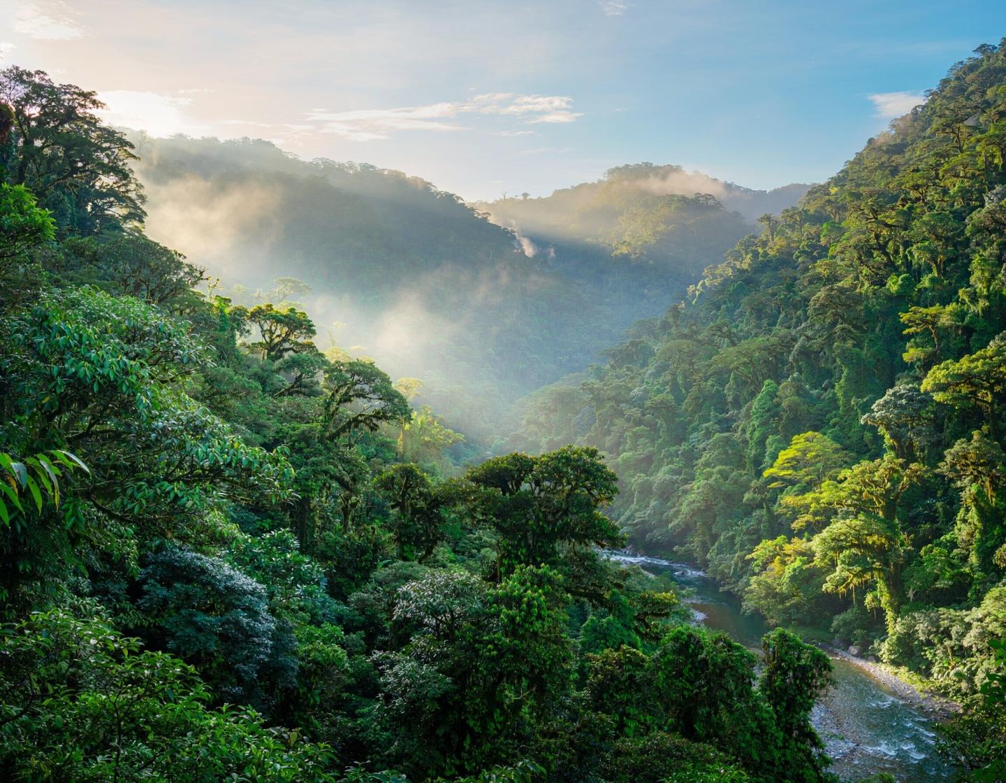 Cloud forest valley of San Gerardo de Dota, Costa Rica