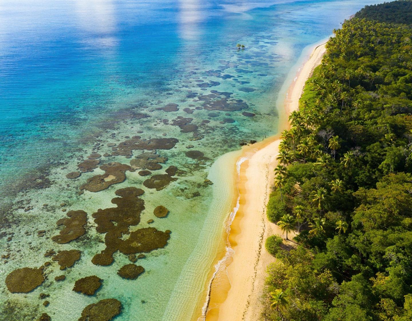 Coastline near Cahuita on Costa Rica's Caribbean coast