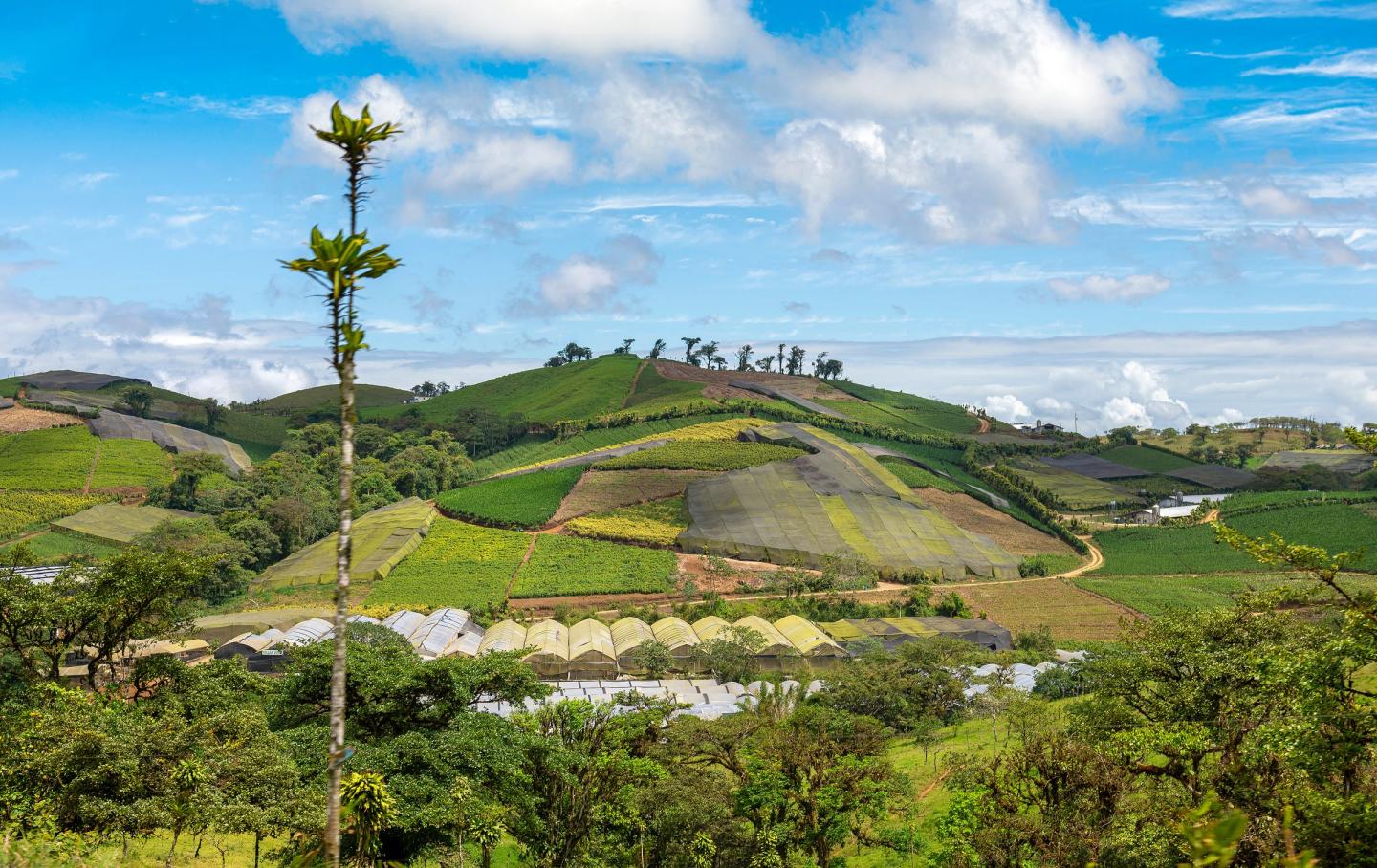 Farm landscape in the Monteverde region of Costa Rica