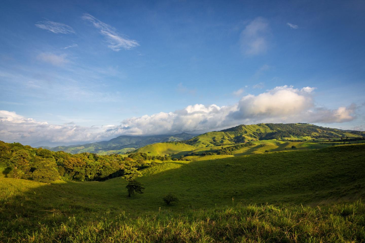 View of the Monteverde Cloud Forest, Costa Rica