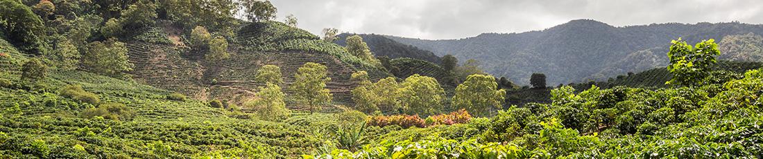 BannerCTA_1100x230.jpg
