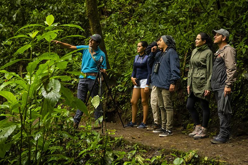 lateral guias puntarenas.jpg